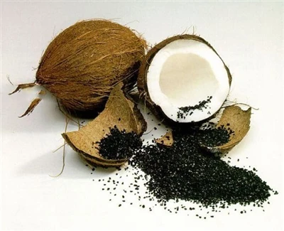 Les funcions de la closca de coco van activar el carboni